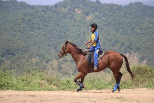 HORSE-RIDING-1